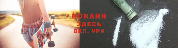 сатива Сосновка